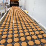 Food Technology Company Food Technology Company