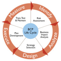 BCP Life Cycle