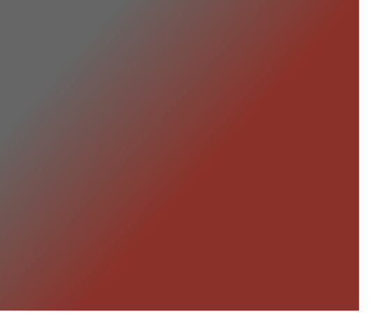 Layer